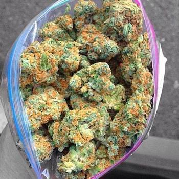  407-349-7033, 25  female escort, Fort Lauderdale