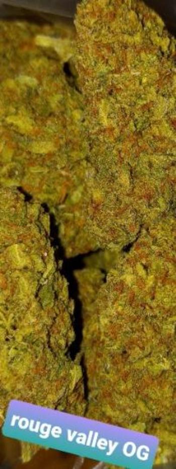 Jt, 30  female escort, Fort Lauderdale