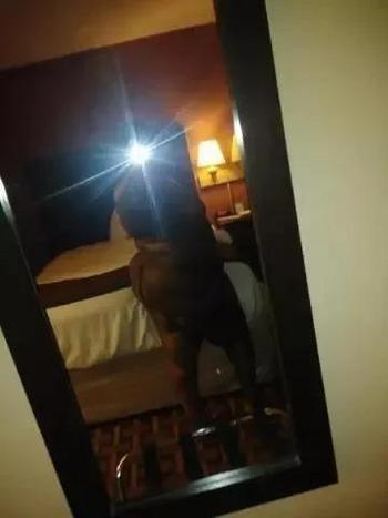 JUICY , 25  female escort, Fort Lauderdale