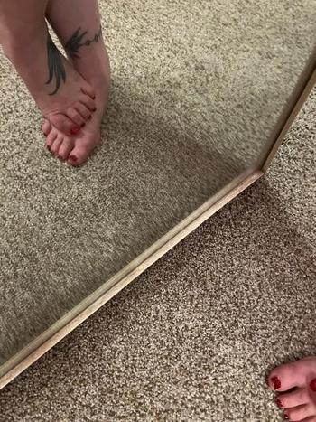 9542501392, female escort, Fort Lauderdale